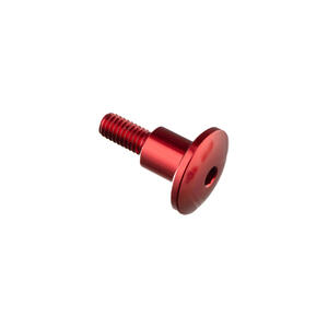 Special Screw M6 X 23,5 + Smooth Part D9,9 X 11 Lightech