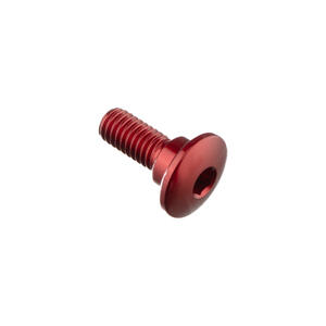 Special Screw M6 X 16 + Smooth Part D8,4 X 3,5 Lightech