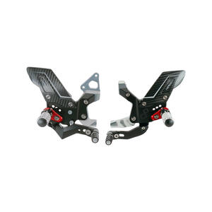 R Version Rear Sets Lightech