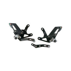 Adjustable Rear Sets With Fold Up Foot Pegs for Triumph Lightech