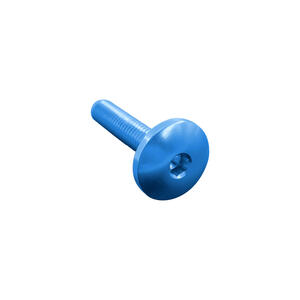 Vite Testa Bombata Erg. Cl 003 M8 L. 25 Testa Ø22  Ergal (7075 T6) Blu