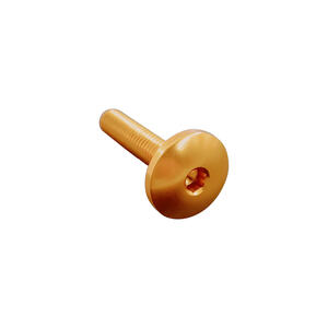 Vite Testa Bombata Erg. Cl 003 M8 L. 25 Testa Ø22  Ergal (7075 T6) Oro