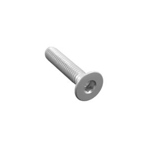 Vite Testa Piana Svas. Erg. Cl 005 M4 L. 45 Argento