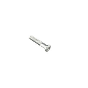 Special Screw M6 X 30 + Smooth Part D6 X 9 Silver