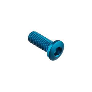 Special Screw M6 X 15 Blue