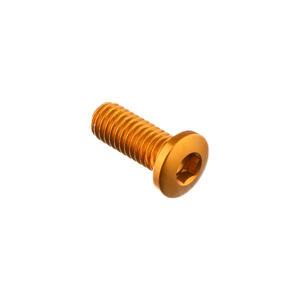 Special Screw M6 X 15 Gold