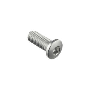 Special Screw M6 X 15 Silver