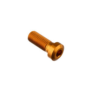 Special Screw M10 X 25 + Smooth Part D9,9 X 4 Gold