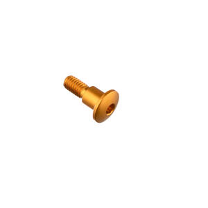 Special Screw M6 X 19 + Smooth Part D7,9 X 8 Gold