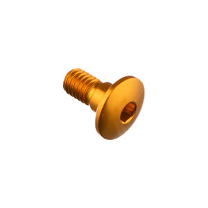 Special Screw M6 X 13 + Smooth Part D6,9 X 4,4 Gold