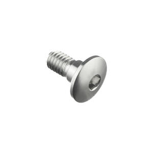Special Screw M6 X 13 + Smooth Part D6,9 X 4,4 Silver