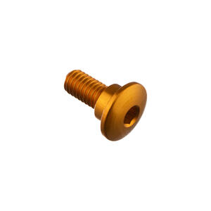 Special Screw M6 X 15 + Smooth Part D8,9 X 4 Gold