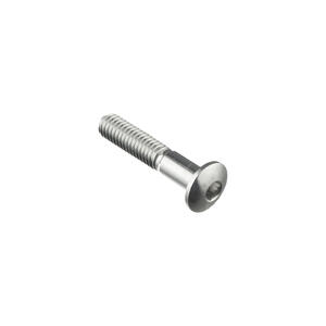 Special Screw M6 X 30 + Smooth Part D6 X 11 Silver