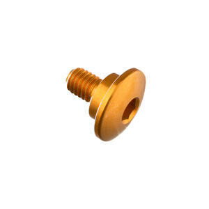 Special Screw M5 X 10 + Smooth Part D8,9 X 3 Gold