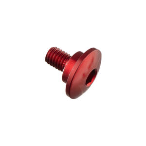 Special Screw M5 X 10 + Smooth Part D8,9 X 3 <p>Rosso</p>