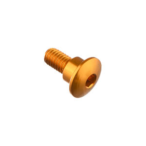 Special Screw M6 X 15 + Smooth Part D8,9 X 5 Gold