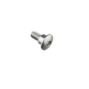 Special Screw M6 X 15 + Smooth Part D8,9 X 5 Silver