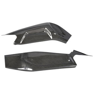 Carbon Swingarm Protectors (Pair) for Aprilia <p>Colore Naturale</p>