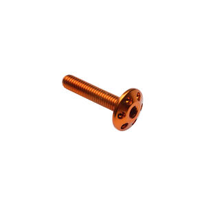 Vite Forata M6 X 30 Oro