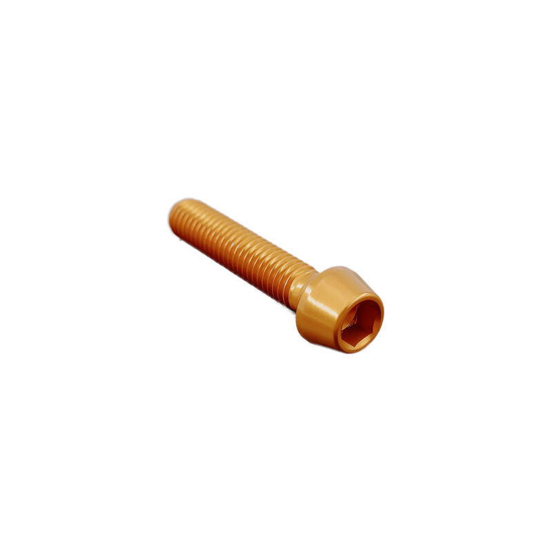 Vite Esagono Inc. Erg. Cl 001 M8 L. 70 Oro