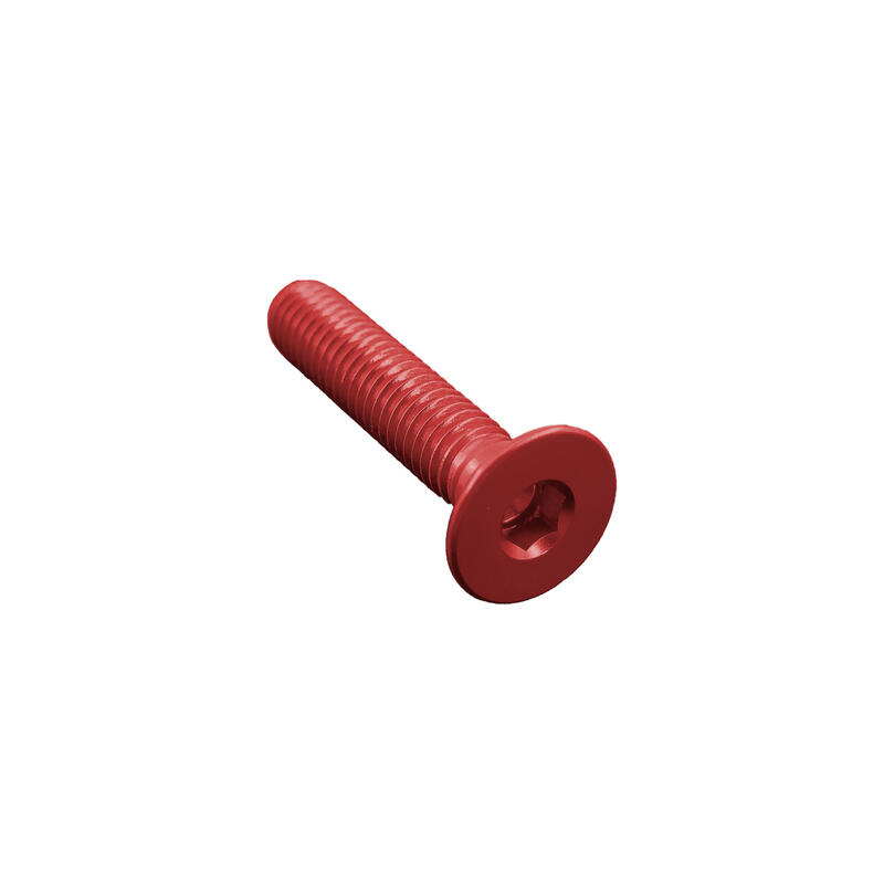 Vite Testa Piana Svas. Erg. Cl 005 M4 L. 45 Rosso