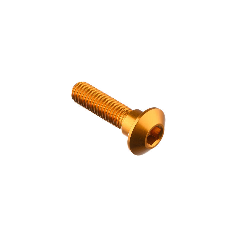 Special Screw M8 X 31 + Smooth Part D10 X 6 Oro