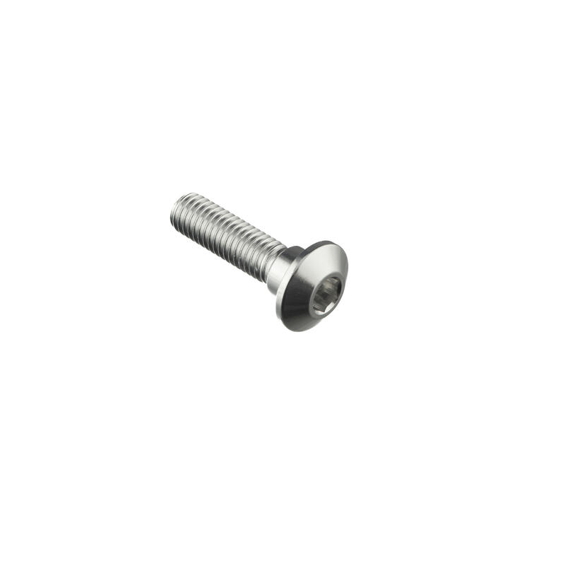 Special Screw M8 X 31 + Smooth Part D10 X 6 Argento
