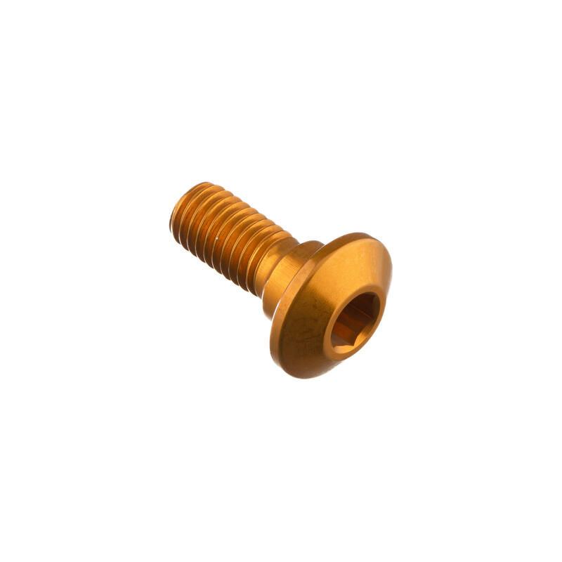 Special Screw M8 X 20 + Smooth Part D9,9 X 5 Oro