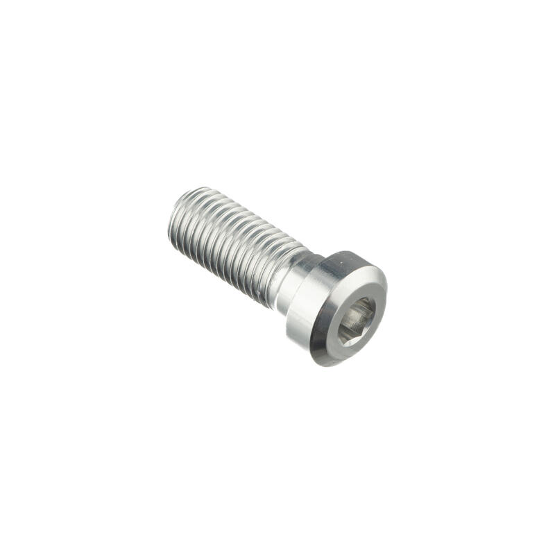 Special Screw M10 X 25 + Smooth Part D9,9 X 4 Argento