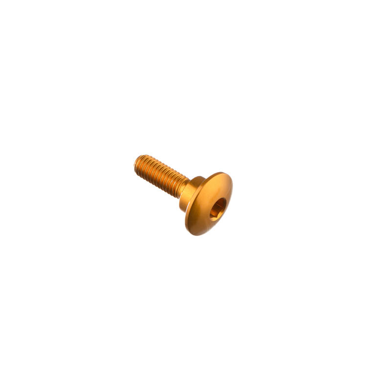 Special Screw M5 X 17,8 + Smooth Part D8,1 X 3,7 Oro