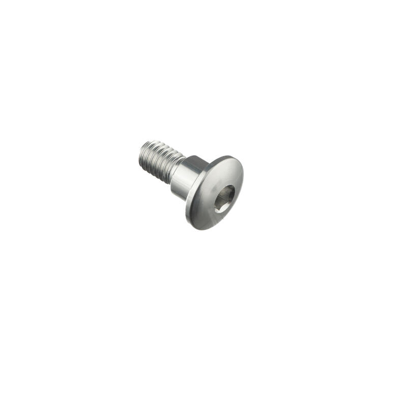 Special Screw M6 X 15 + Smooth Part D7,9 X 6 Argento