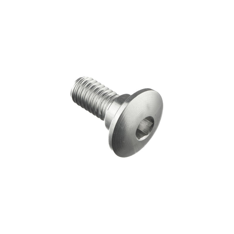 Special Screw M6 X 14 + Smooth Part D7,9 X 3,8 Argento