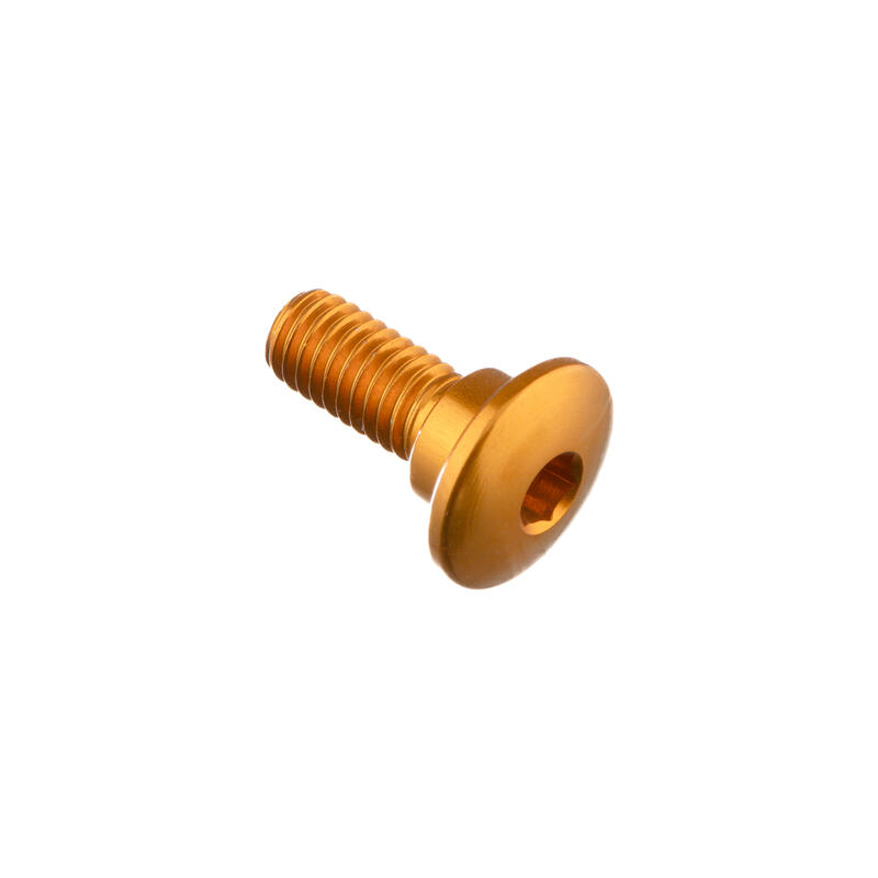 Special Screw M6 X 16 + Smooth Part D8,4 X 3,5 Oro