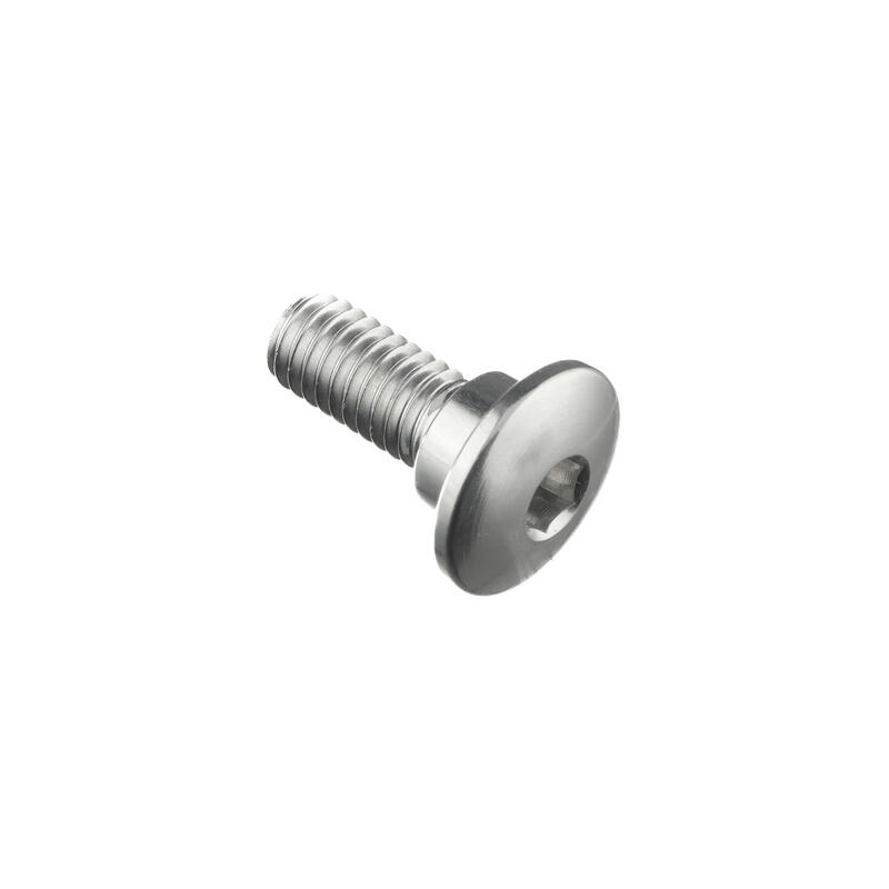 Special Screw M6 X 16 + Smooth Part D8,4 X 3,5 Argento