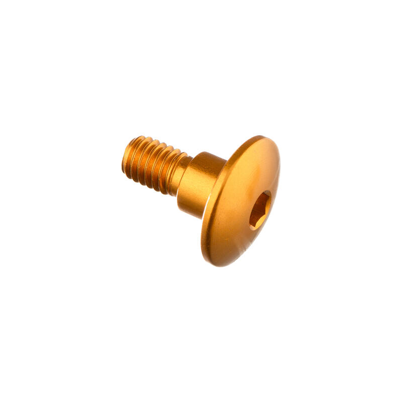 Special Screw M6 X 15 + Smooth Part D7,9 X 6 Oro