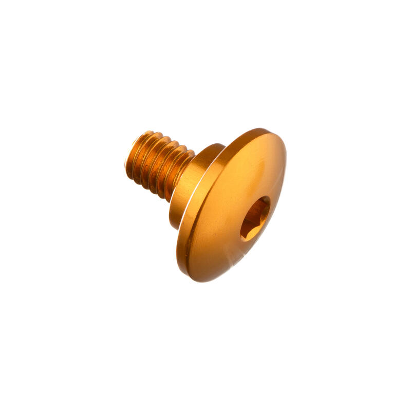 Special Screw M6 X 11 + Smooth Part D9,9 X 3,5 Oro