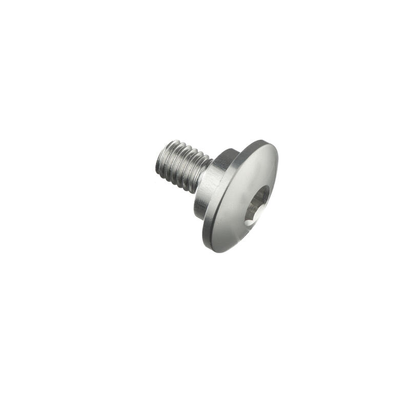 Special Screw M5 X 10 + Smooth Part D8,9 X 3 Argento