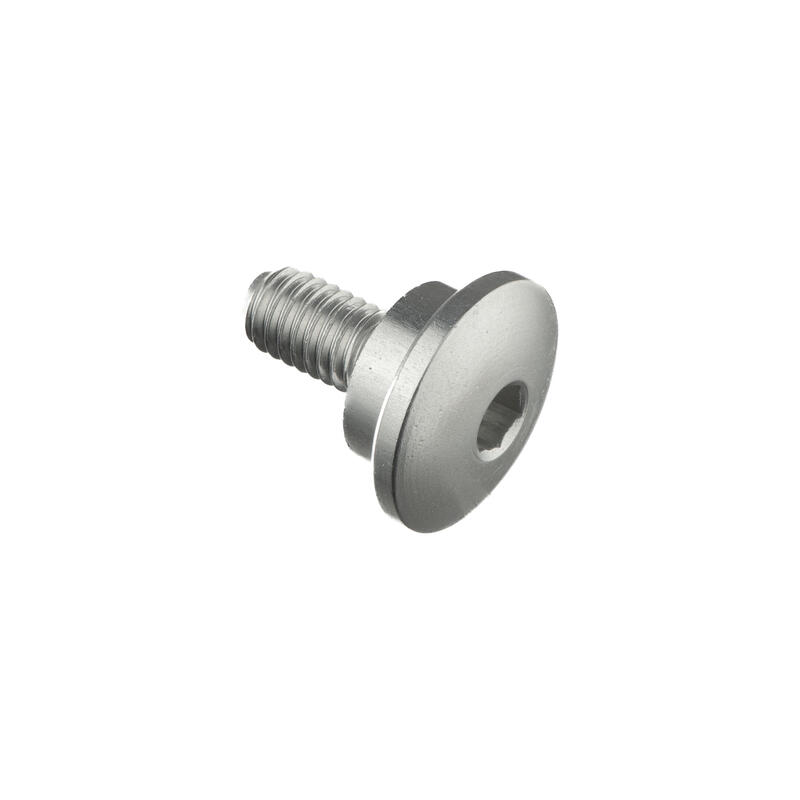 Special Screw M6 X 14,5 + Smooth Part D11,9 X 3,5 Argento