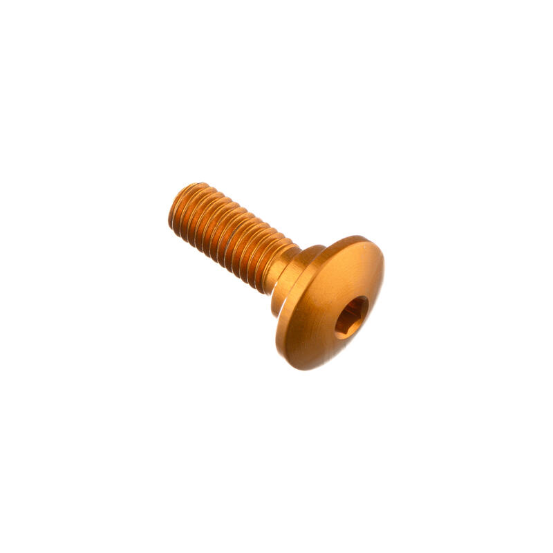 Special Screw M5 X 15 + Smooth Part D7 X 2,5 Oro