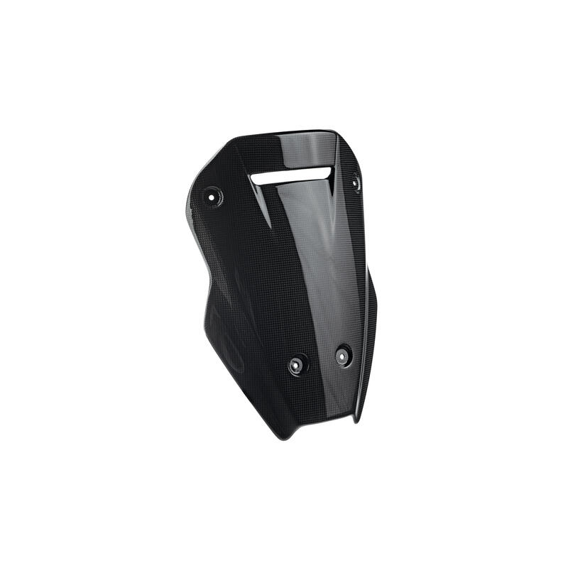 Carbon Windshied for Ducati Lucido