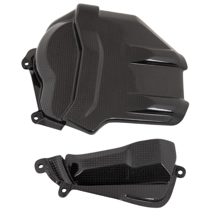 Carbon Engine Cover for Ducati Lucido