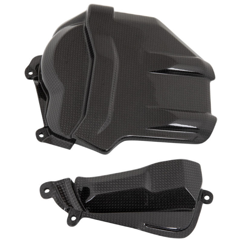 Carbon Engine Cover - Matt for Ducati NeroA1