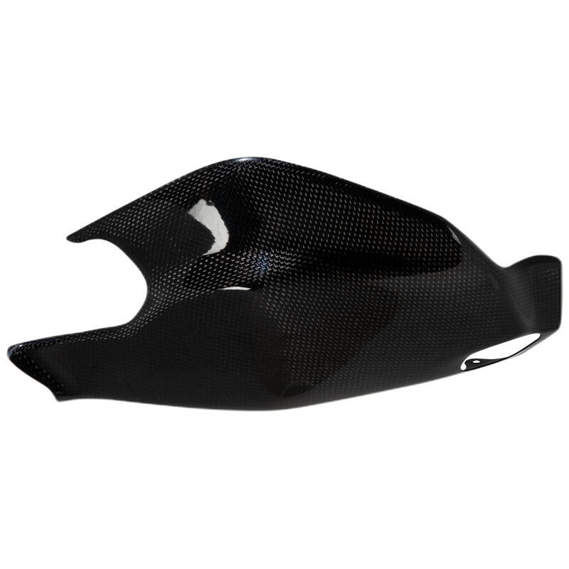 Carbon Arm Protection for Ducati Lucido