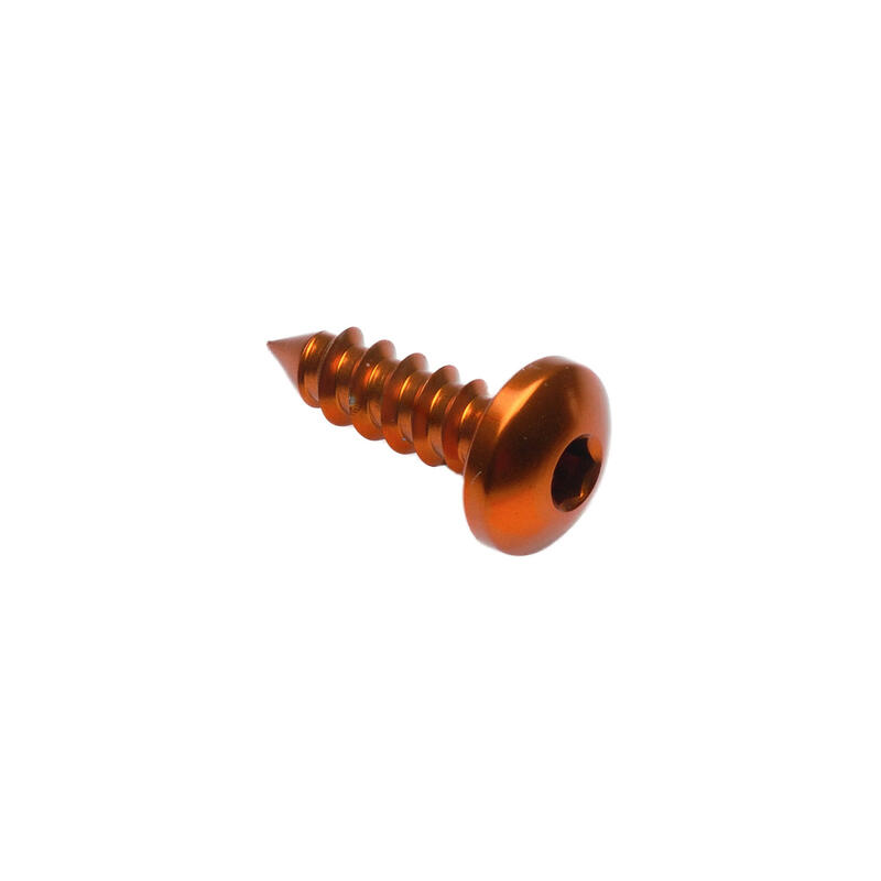Self Tapping Screw 002 D=5,5x16 Ergal Oro