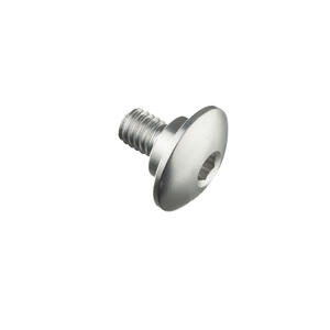 Special Screw M6 X 11 + Smooth Part D9,9 X 3,5 Lightech