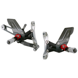 R Version Rear Sets Lightech