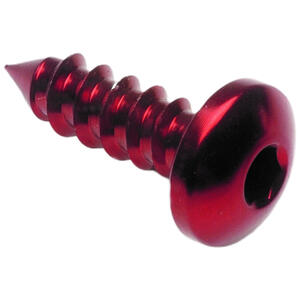 Self Tapping Screw 002 D=4,9x16 Ergal Lightech