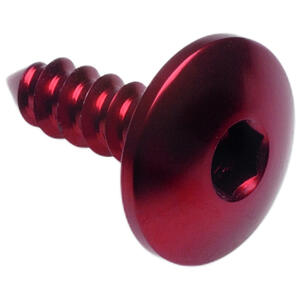 Self Tapping Screw 003 D=4,5x16 Ergal Lightech