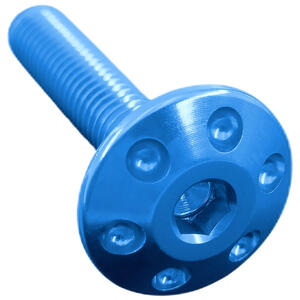 Drilled Screw M5 X 15 Blue