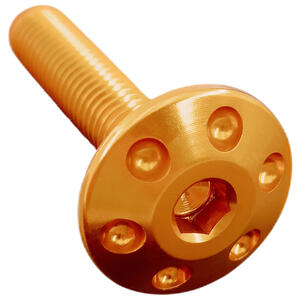 Drilled Screw M5 X 15 Gold